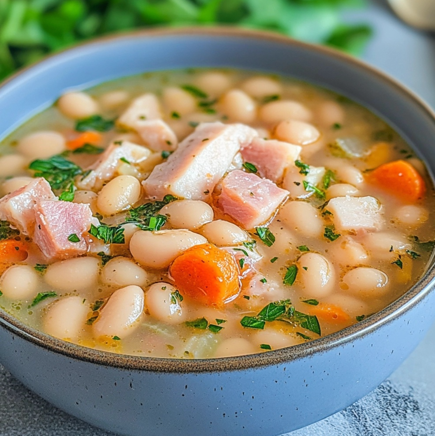 Smoky Ham and Bean Soup